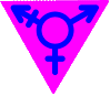  Transgender community symbol